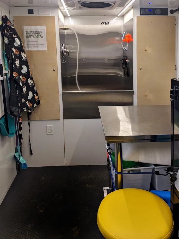 Cat Grooming Service - Grooming Studio SG