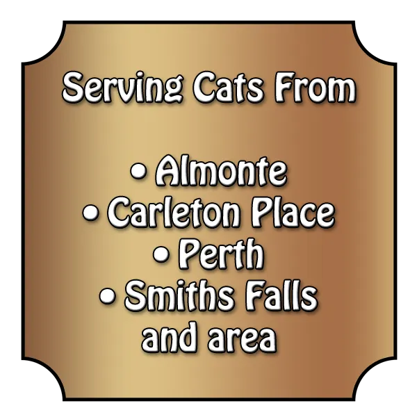 Serve Area Sign-small